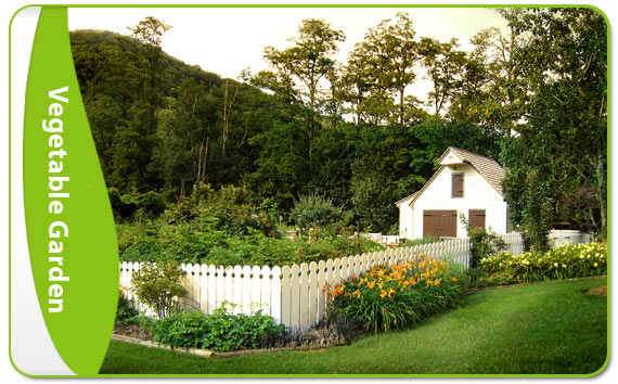 Vegetable Gardens