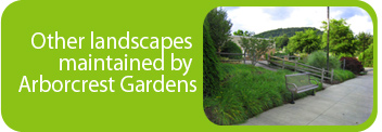 Other Landscapes